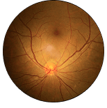 login_eye